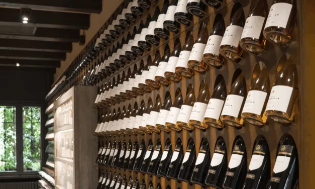 Pinot Grigio 2023 Tenute Tomasella: la degustazione