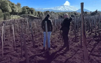 I Vigneri, l’Etna immortale di Salvo Foti