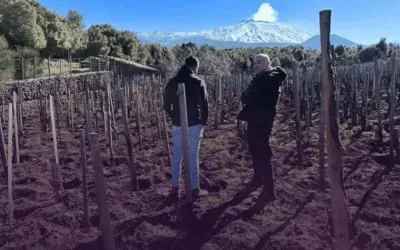 I Vigneri, l’Etna immortale di Salvo Foti