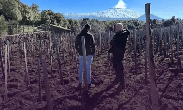 I Vigneri, l’Etna immortale di Salvo Foti