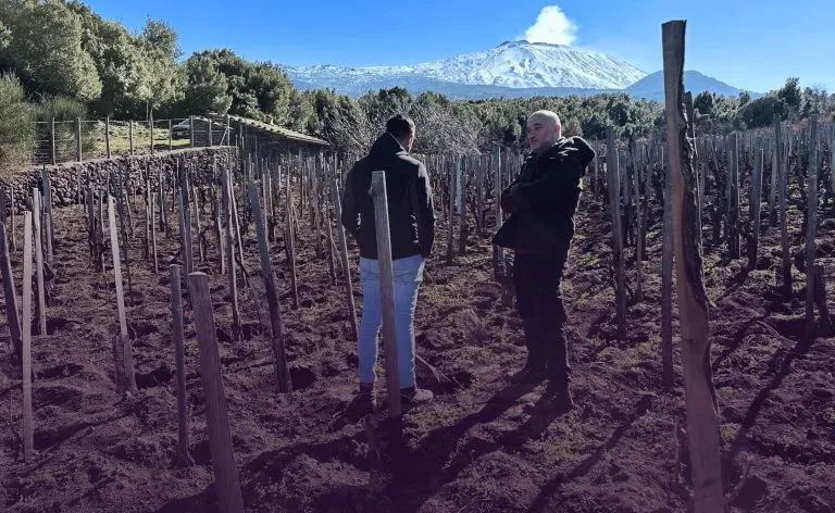 I Vigneri, l’Etna immortale di Salvo Foti