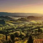 Il Chianti impallidisce di fronte al mercato e dal 2026 diventerà rosè.