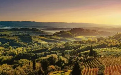 Il Chianti impallidisce di fronte al mercato e dal 2026 diventerà rosè.