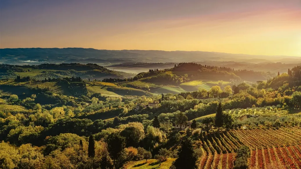 Il Chianti impallidisce di fronte al mercato e dal 2026 diventerà rosè.