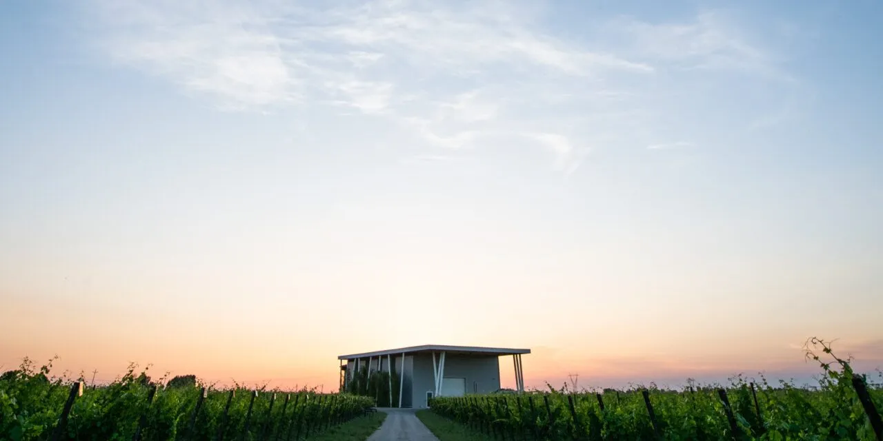 VentiVenti Pignoletto Blanc de Blancs e Lambrusco Rosé metodo classico: la degustazione