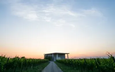 VentiVenti Pignoletto Blanc de Blancs e Lambrusco Rosé metodo classico: la degustazione