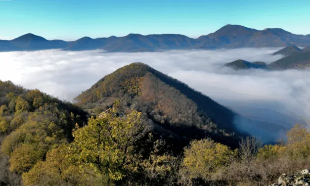 Colli Euganei DOC, i bordolesi patavini ora valorizzano il territorio