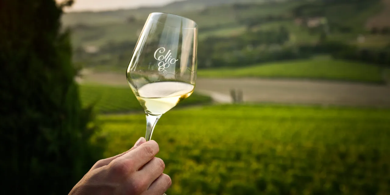 Collio: si riparte dal friulano. La nostra degustazione