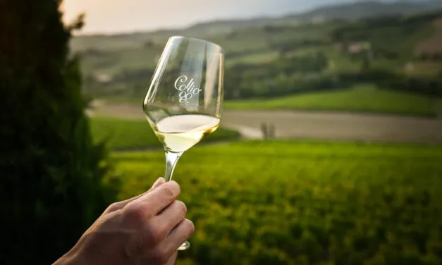 Collio: si riparte dal friulano. La nostra degustazione