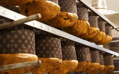 I 3 migliori panettoni artigianali veronesi secondo Dissapore 2025