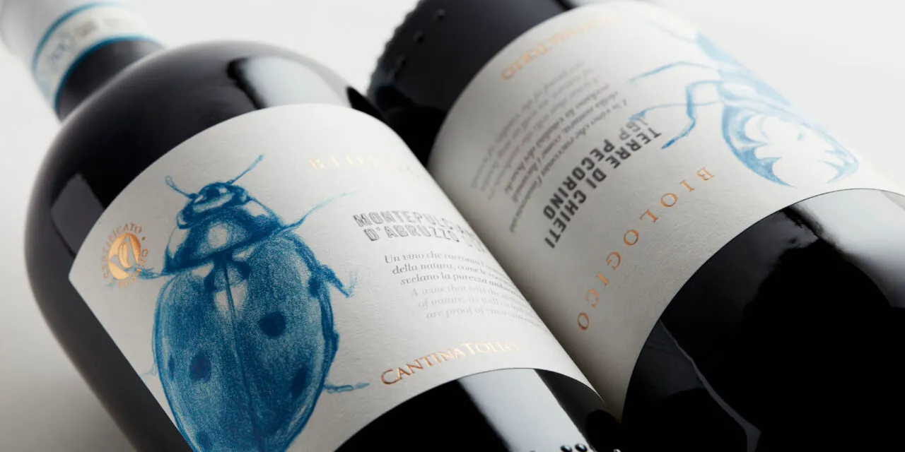 Cantina Tollo, produzione a 46,5 milioni € (più 35% sull’esercizio precedente)