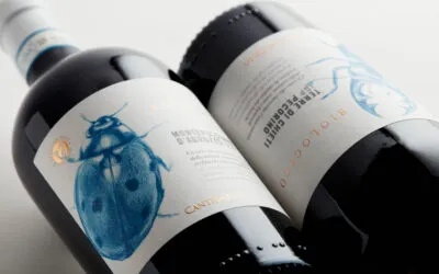 Cantina Tollo, produzione a 46,5 milioni € (più 35% sull’esercizio precedente)