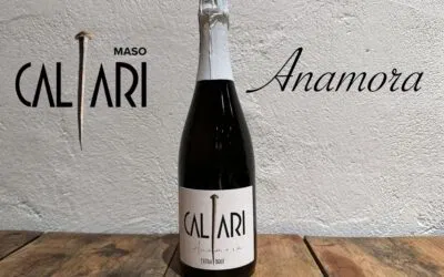 Anamora, il nuovo Metodo Classico trentino di 36 mesi tra le Valli Giudicarie