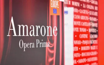 Amarone, ecco l’annata 2021 e le nostre cinque scelte