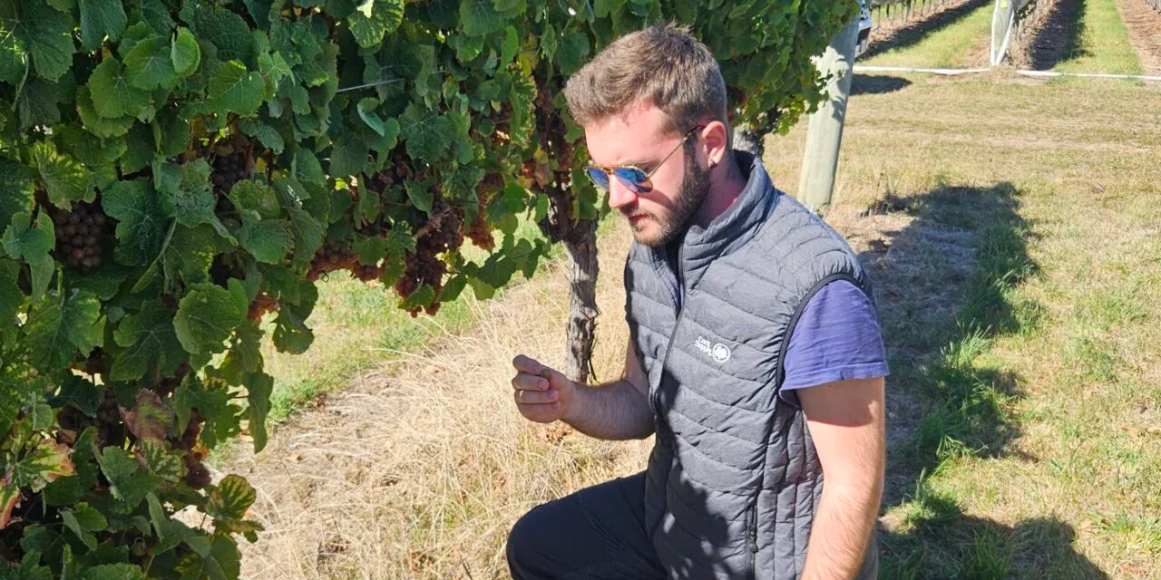 Tommaso Zanella, l’enologo creativo dall’anima tradizionale ma con un’esperienza internazionale
