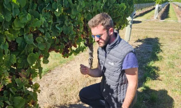 Tommaso Zanella, l’enologo creativo dall’anima tradizionale ma con un’esperienza internazionale