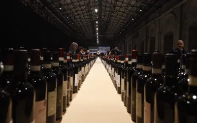 Chianti Classico, un millesimo 2024  “gastronomico”