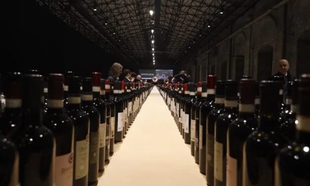 Chianti Classico, un millesimo 2024  “gastronomico”