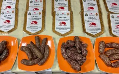 XXIX Palio della Stortina Veronese: l’evento gastro-culinario dedicato ai produttori amatoriali della pianura