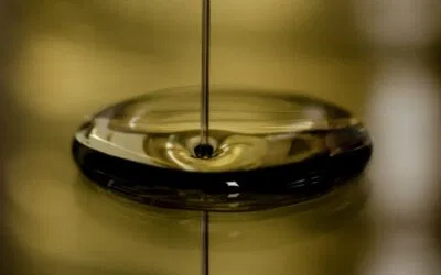 Non solo vino: anche la Festa dell’Olio protagonista del prossimo weekend veronese