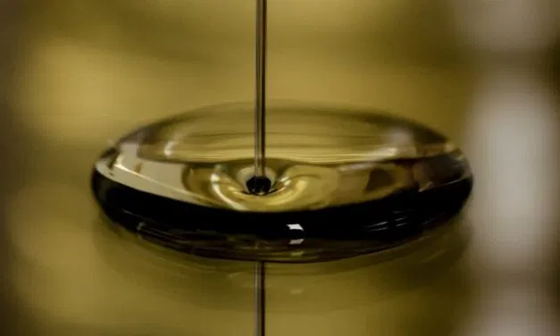 Non solo vino: anche la Festa dell’Olio protagonista del prossimo weekend veronese